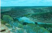 Kalbarri_river.jpg