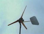 windmill_april_24_ciy_re.jpg