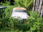 Volvo 122 in the weeds