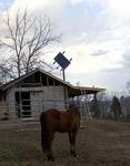 Ebay Solar Panel