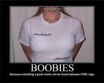 boobies-because-everything-a-geek-wants-can-be-found-between-the-html-tags-demotivational-poster