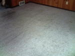 carpet3