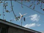 windmill_video_2.mov