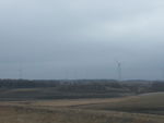 Few of the 32 in a wind farm near Rolag