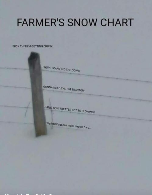 Snow chart