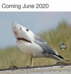 coming_June_20