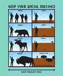 social_distance